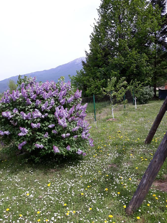 Apartment Gradina コレニツァ エクステリア 写真